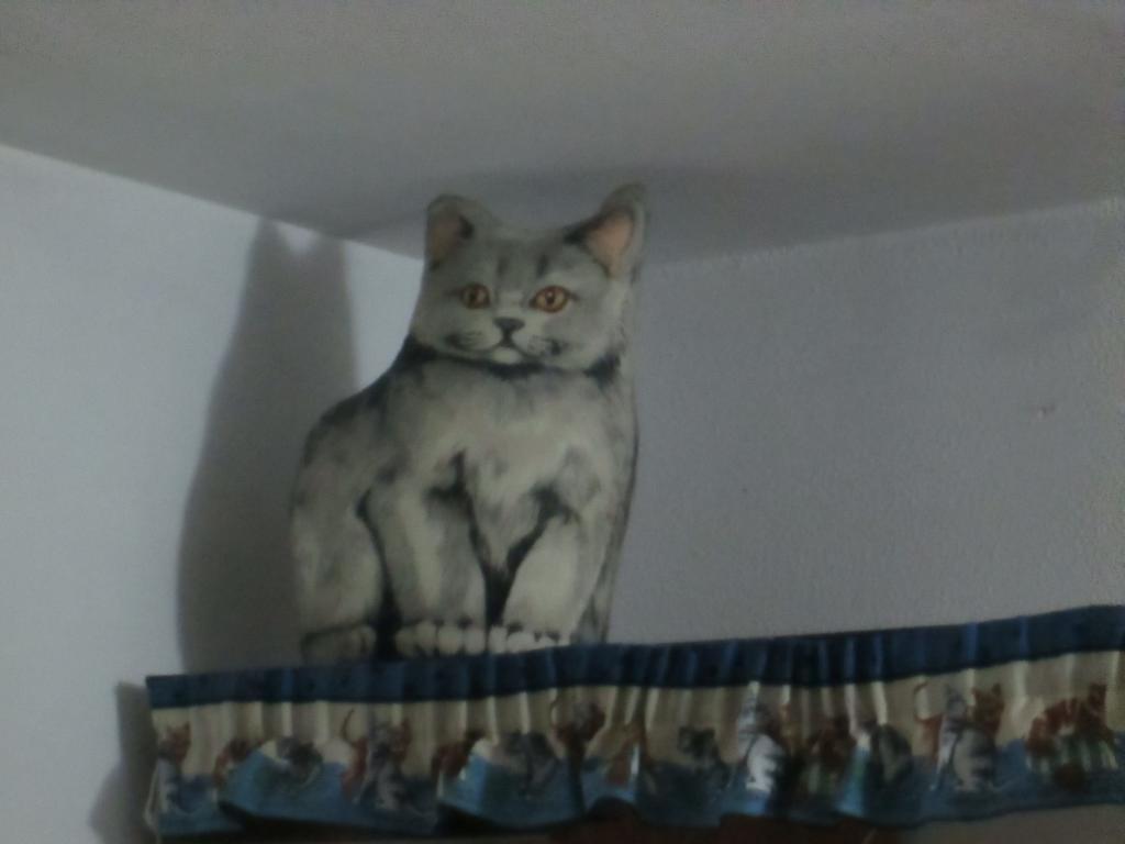 Apartament Cat'S House Lido di Ostia Pokój zdjęcie